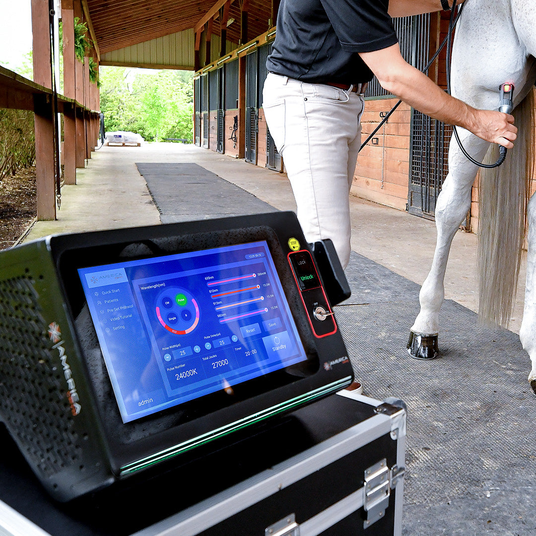 Quad Wave Class IV equine laser