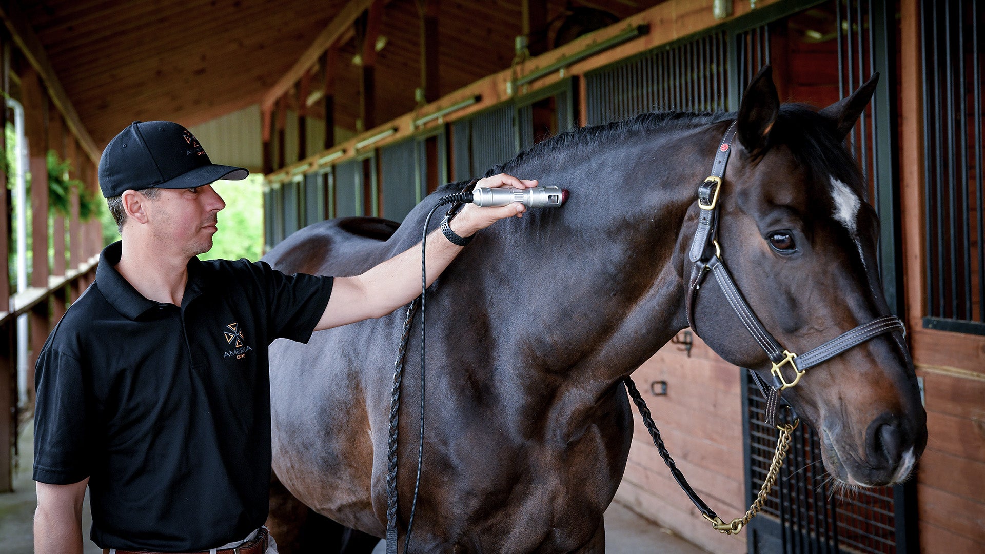 Tri Wave Class IV Laser | America Cryo Equine Therapy