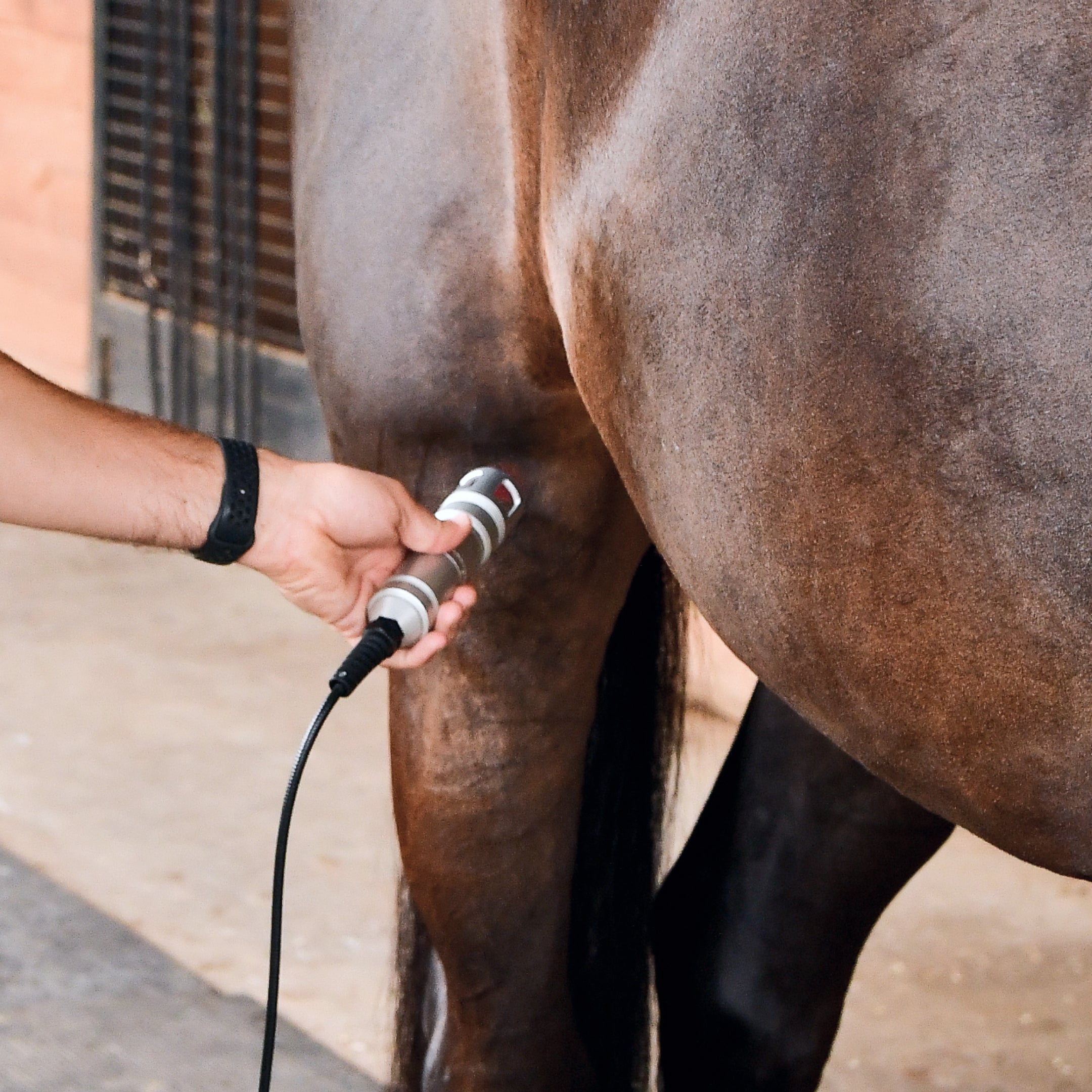 Tri Wave Class IV Laser | America Cryo Equine Therapy