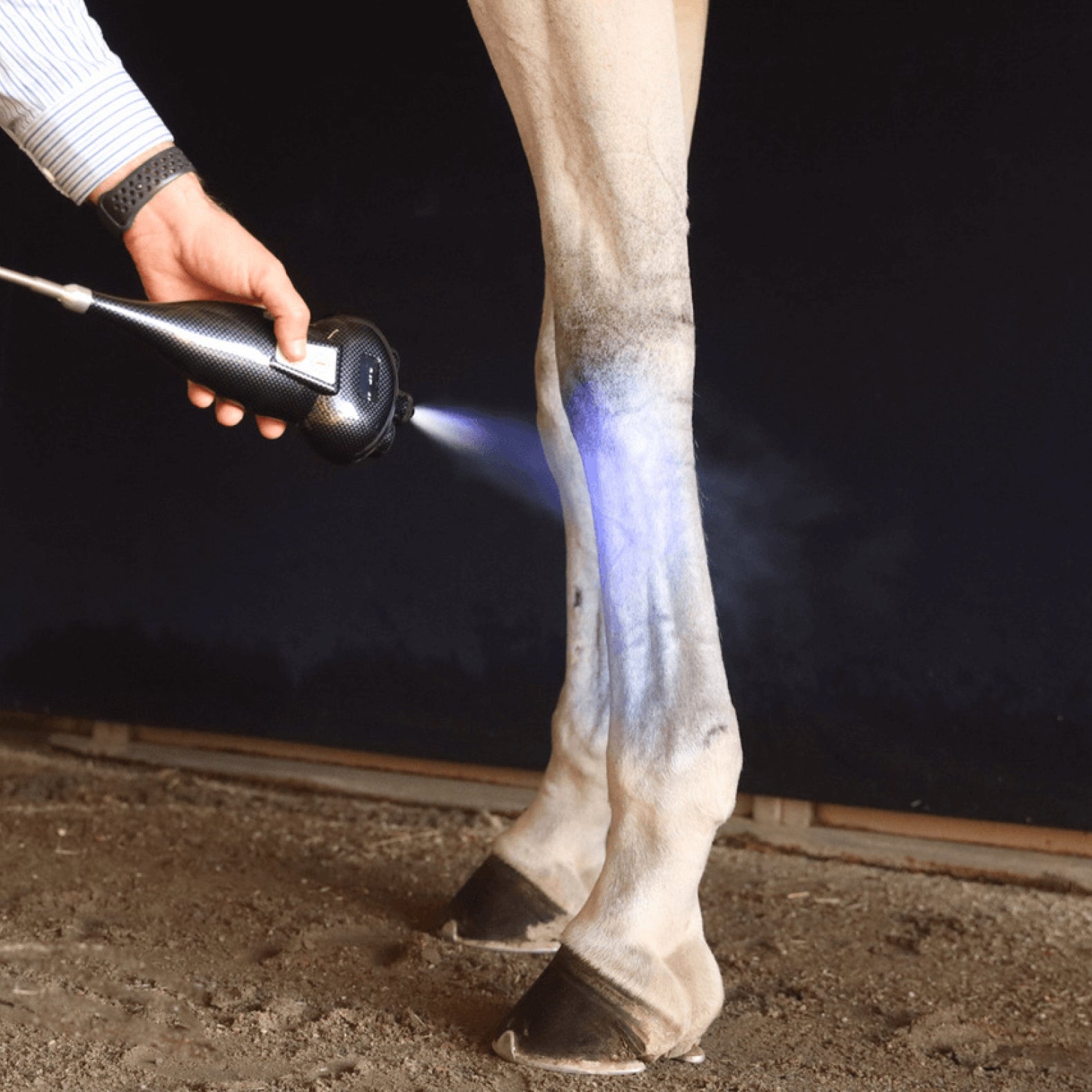 AmericaCryo Subzero Equine in use